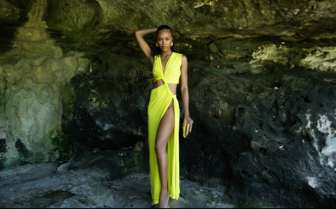Rocha Dress