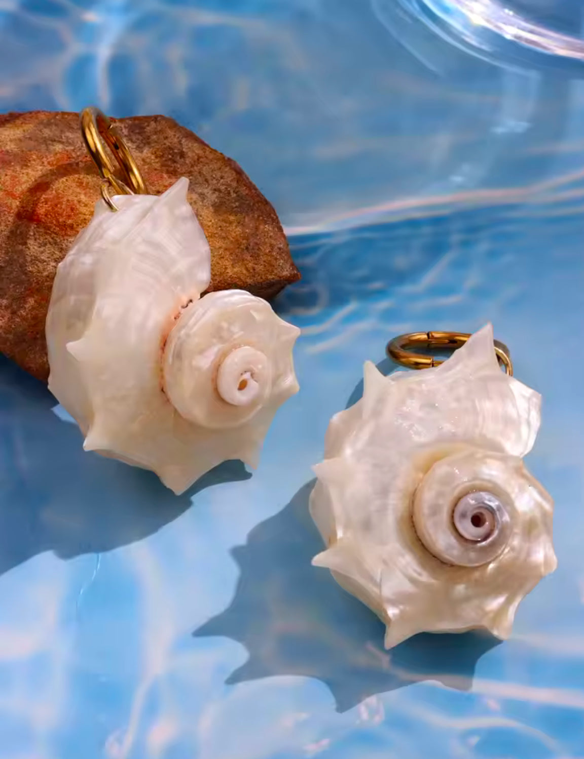 SeaShell Earrings