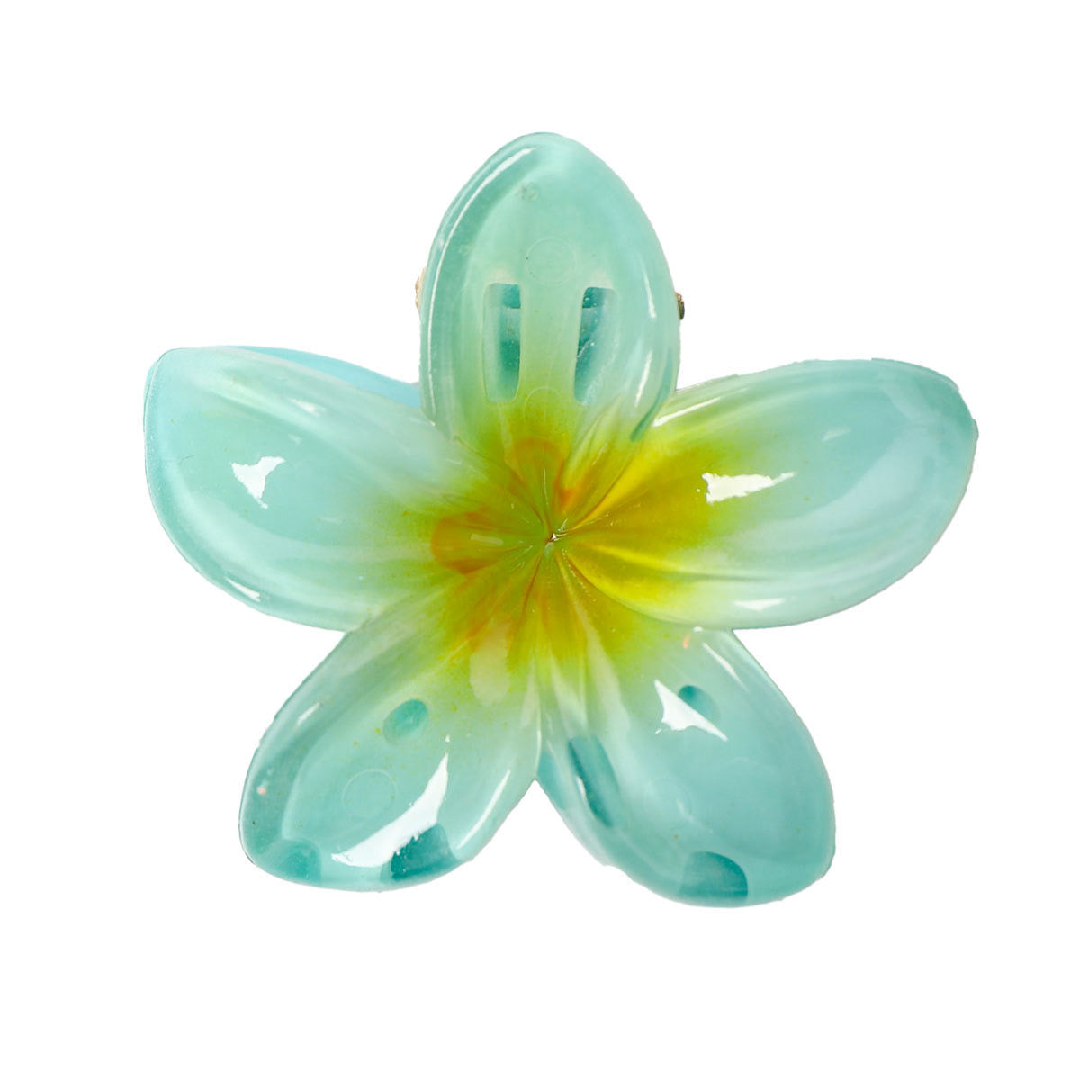 Aloha Hair Clips